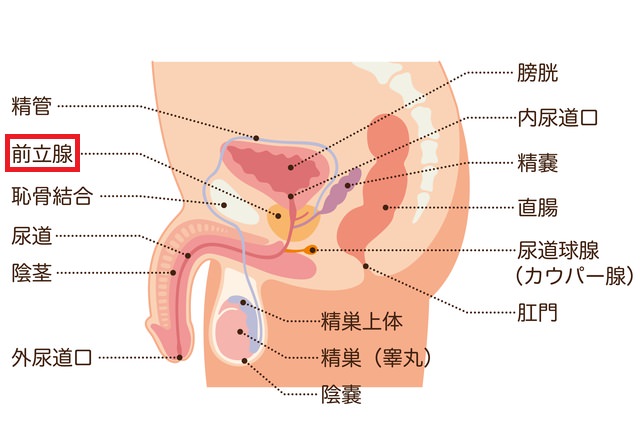 zenritsusen1