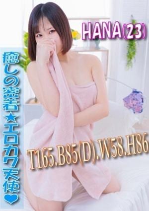 エスッテ×エスッテ はな