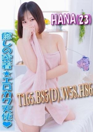 エスッテ×エスッテ はな