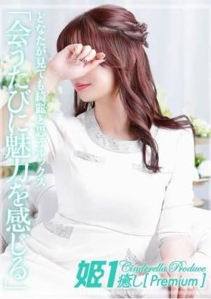 癒しの姫1 紗月ノエル