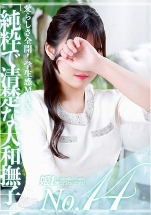 癒しの姫1 雪平ほのか