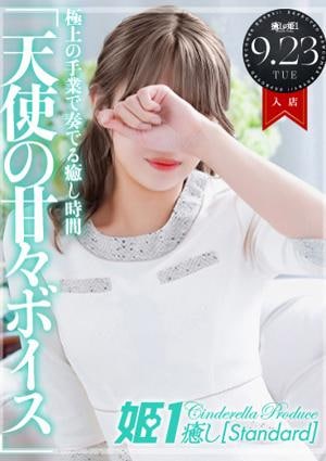 癒しの姫1 宇佐美めぐ