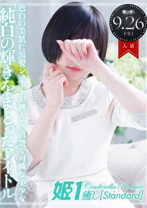 癒しの姫1 夜神なぎさ