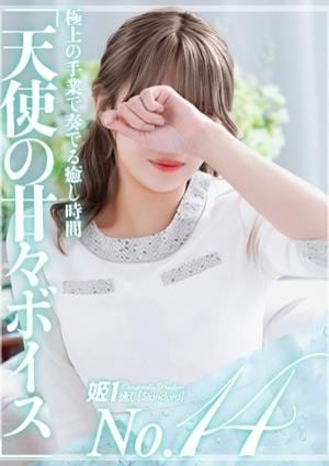 癒しの姫1 宇佐美めぐ