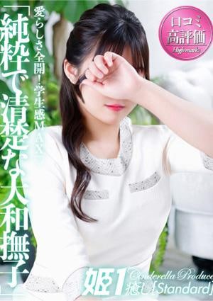 癒しの姫1 雪平ほのか