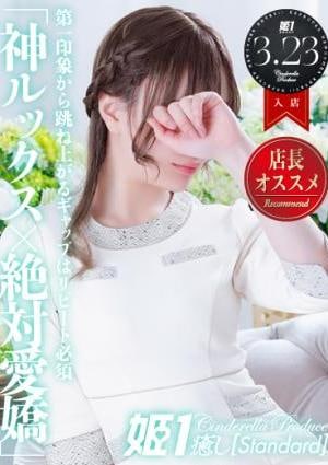 癒しの姫1 宵月せれな