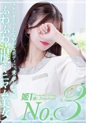 癒しの姫1 凪原なぎ