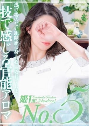 癒しの姫1 篠原まりえ