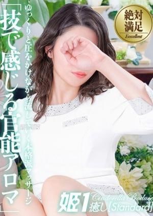 癒しの姫1 篠原まりえ