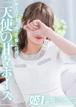 癒しの姫1 宇佐美めぐ