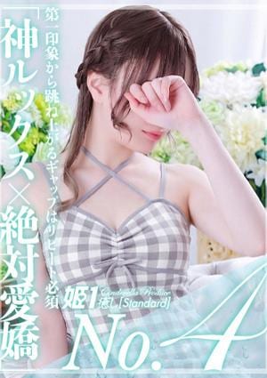 癒しの姫1 宵月せれな