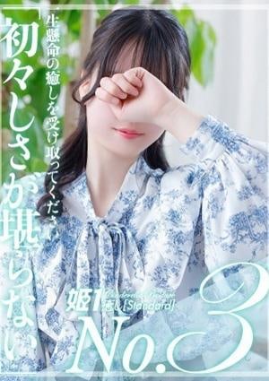 癒しの姫1 楓こころ