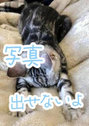 快楽堂 さくら