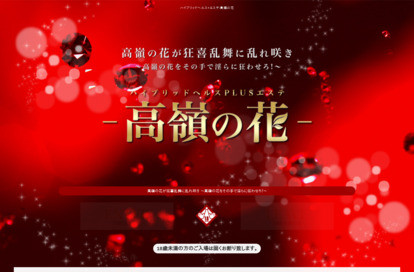 ハイブリッドヘルスPLUSエステ～高嶺の花～ オフィシャルサイト