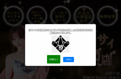 ジャップカサイ専門店 オフィシャルサイト